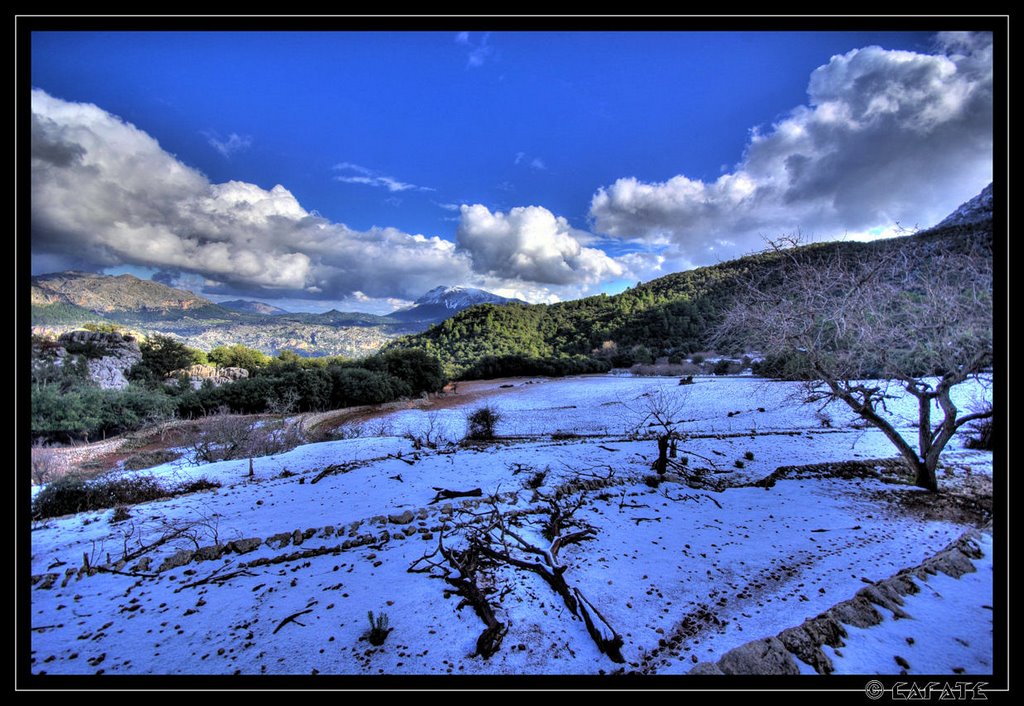 Nevada a sa Tramuntana - Buy a print in - http://cafate.blogspot.com/ by © Cafate