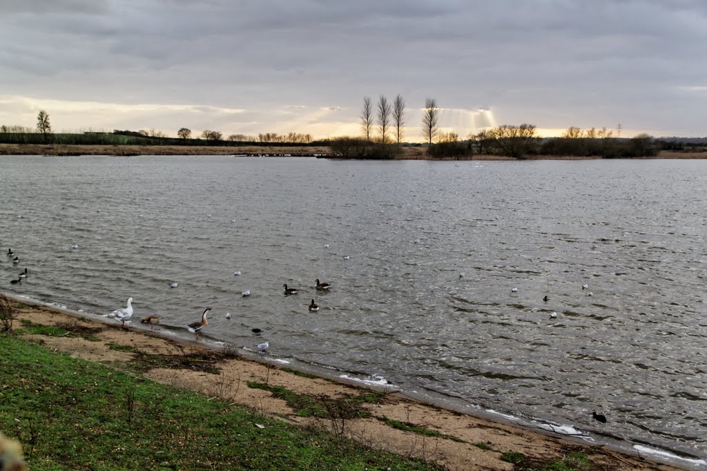 Layer Breton causeway, Essex, Jan 2012 by keithb