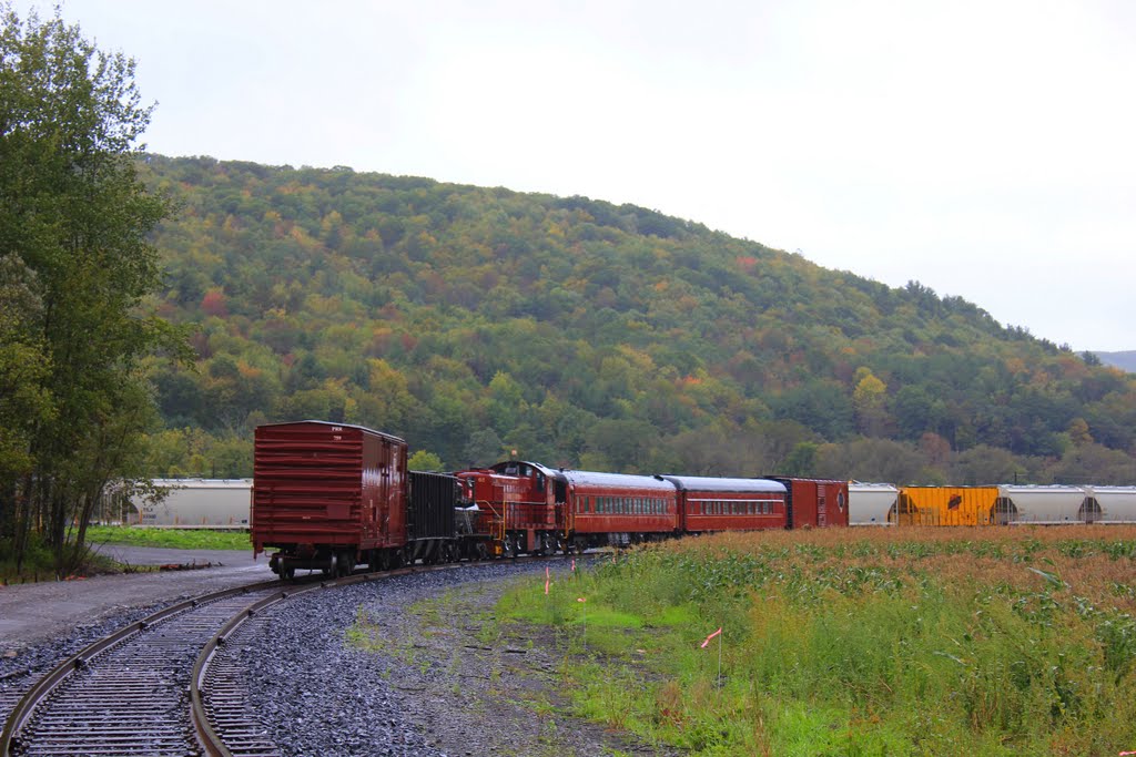 Tioga Central Railroad by jacrabit