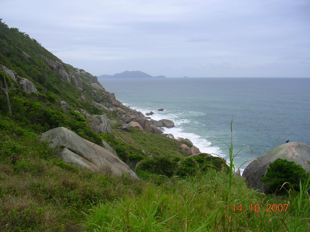 Trilhas ao norte da Praia Brava by Marcos CL.