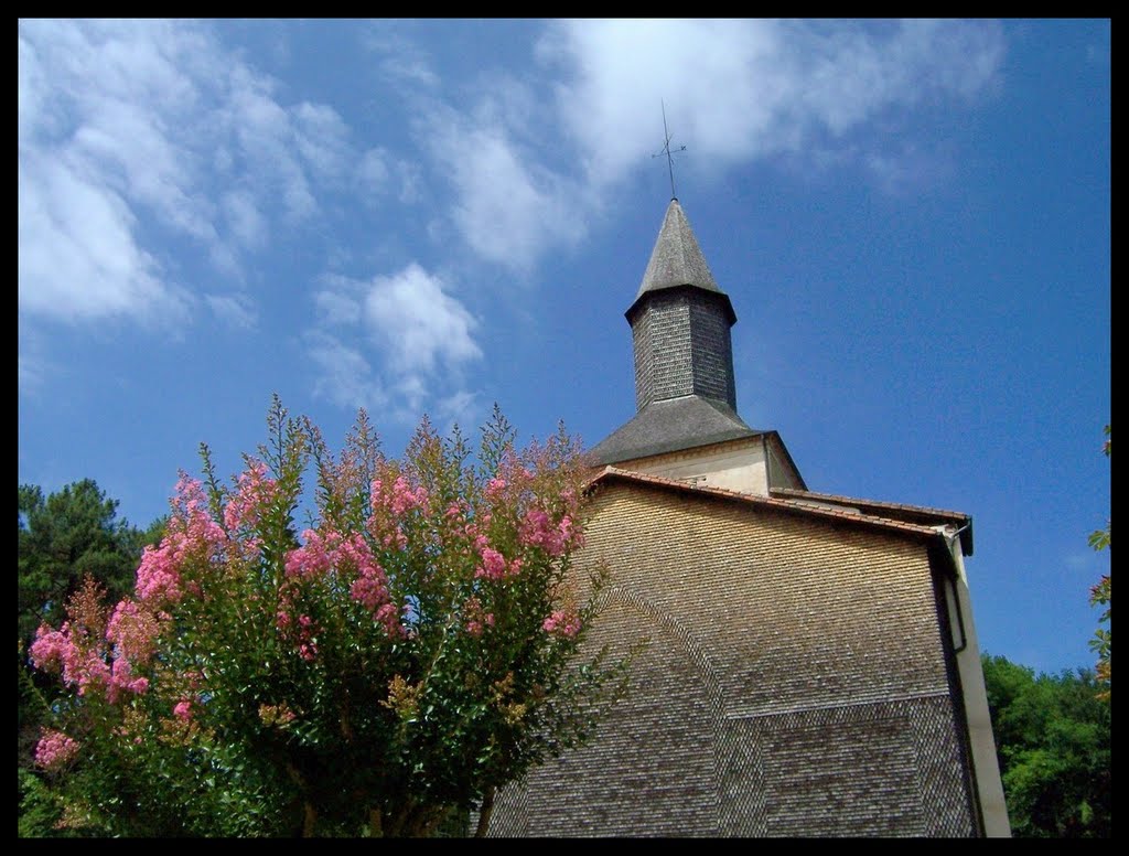 Abbaye de Mimizan by Sylvie Zennir