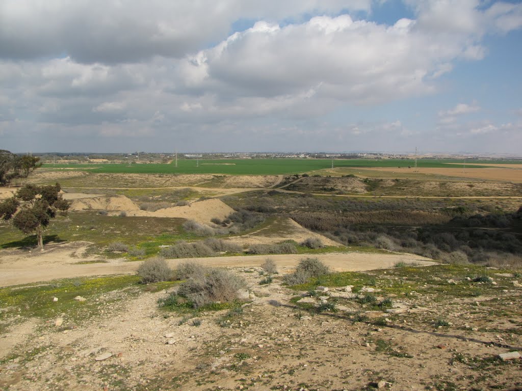 Ofakim, panoramic view from Metzudat Patish, 2, Israel by Kobi Zilberstein