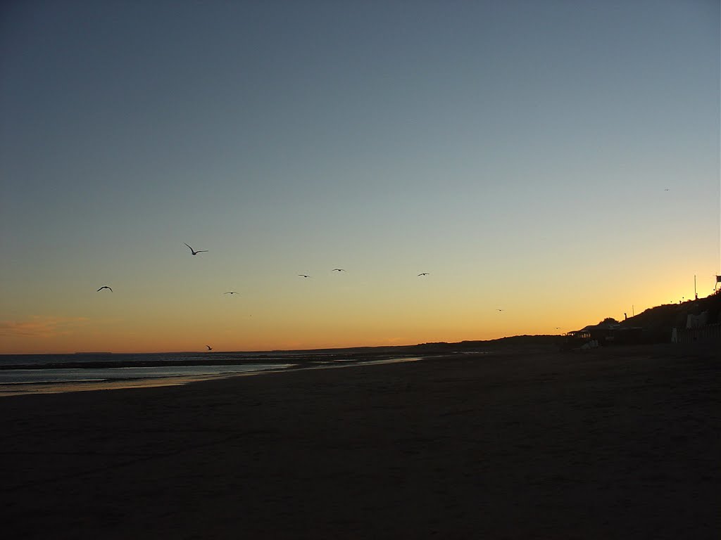 Las Grutas - Gaviotas al Atardecer - ecm. by eliseo c. martínez