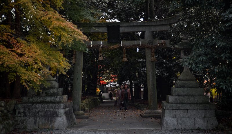 Saginomori-zinja shrine/鷺森神社 by mppp