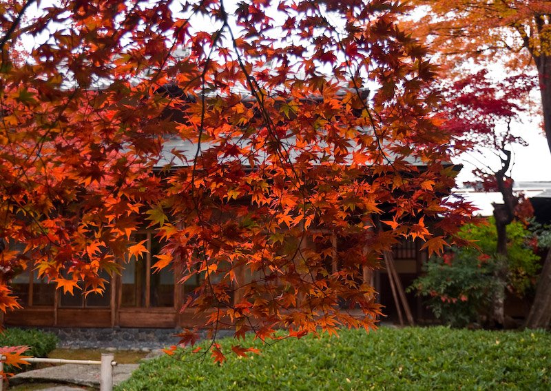 Hougon-in temple/宝厳院 by 宮崎亮