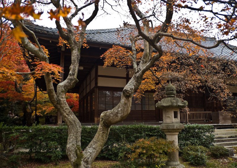 Joujakkou-ji temple/常寂光寺 by mppp