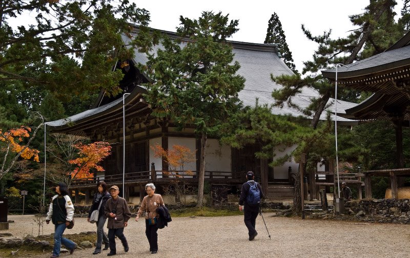 Shingo-ji temple/神護寺 by mppp