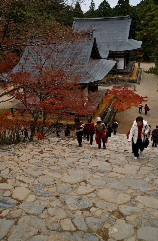 Shingo-ji temple/神護寺 by 宮崎亮