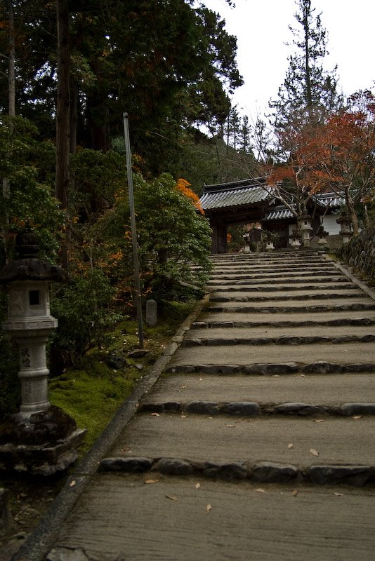 Saimyou-ji temple/西明寺 by 宮崎亮