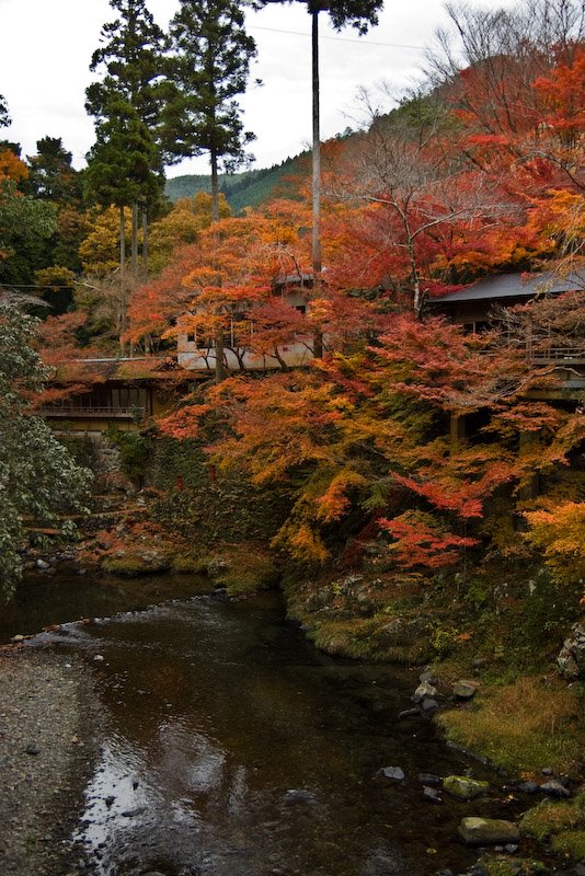 Umegahata Makinoocho, Ukyo Ward, Kyoto, Kyoto Prefecture 616-8291, Japan by 宮崎亮