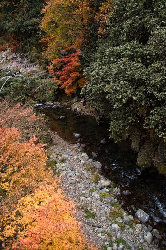 Umegahata Tonohatacho, Ukyo Ward, Kyoto, Kyoto Prefecture 616-8293, Japan by 宮崎亮