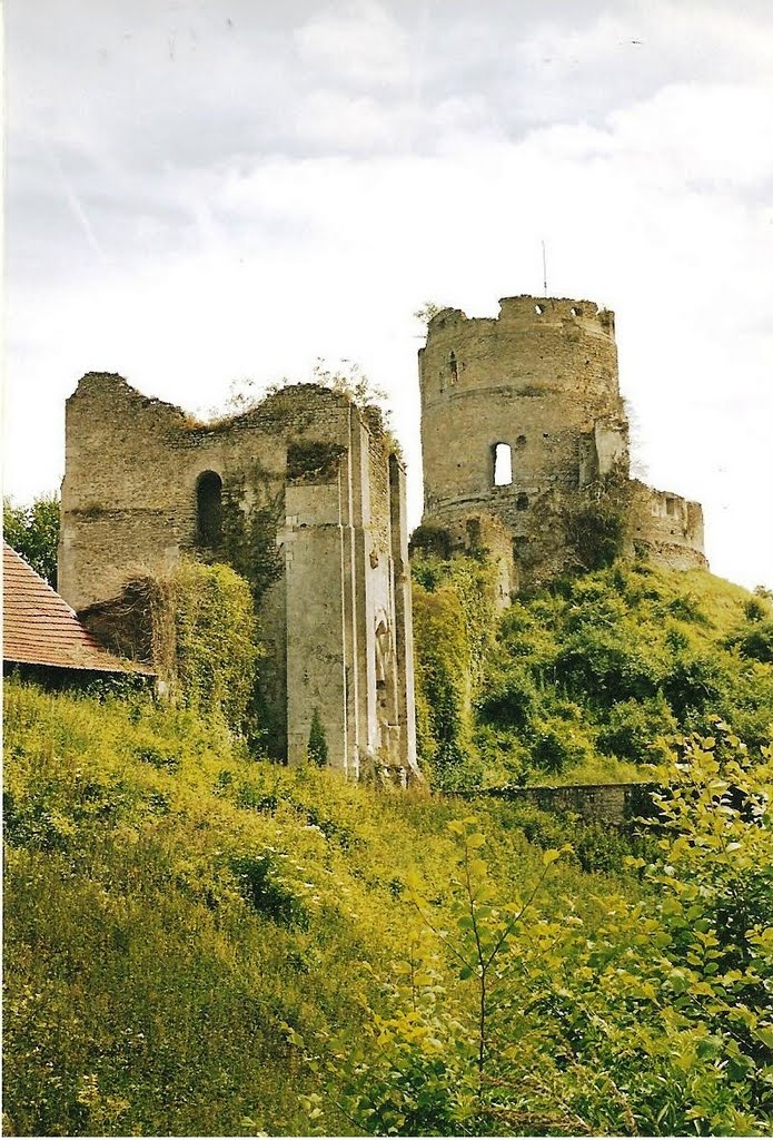 Chateau sur Epte... le portail fortifié et le donjon by Marc Lacelle