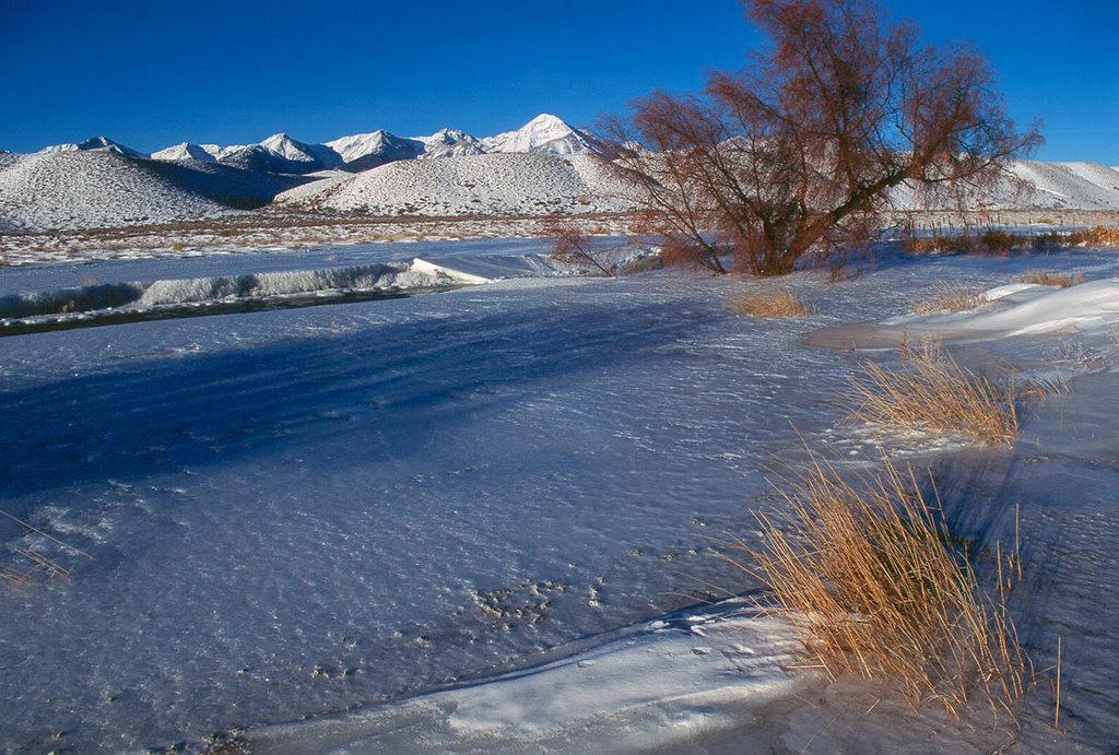 Cold morning at Birch Creek near Lone Pine, Idaho by Ralph Maughan