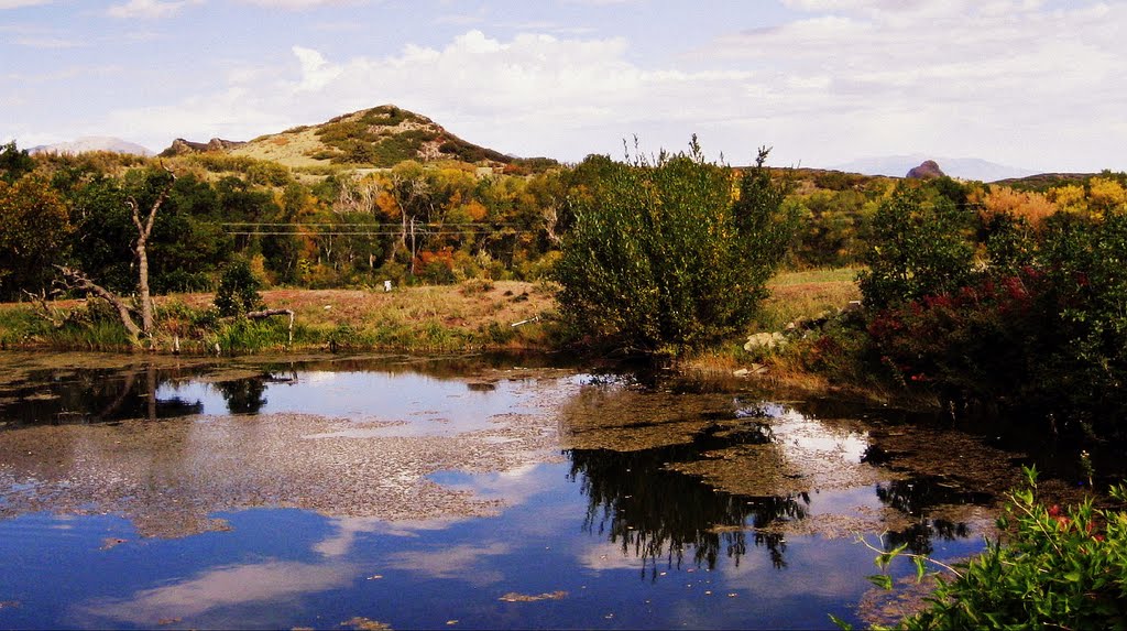 Fall in Southern Colorado by adoverboy2