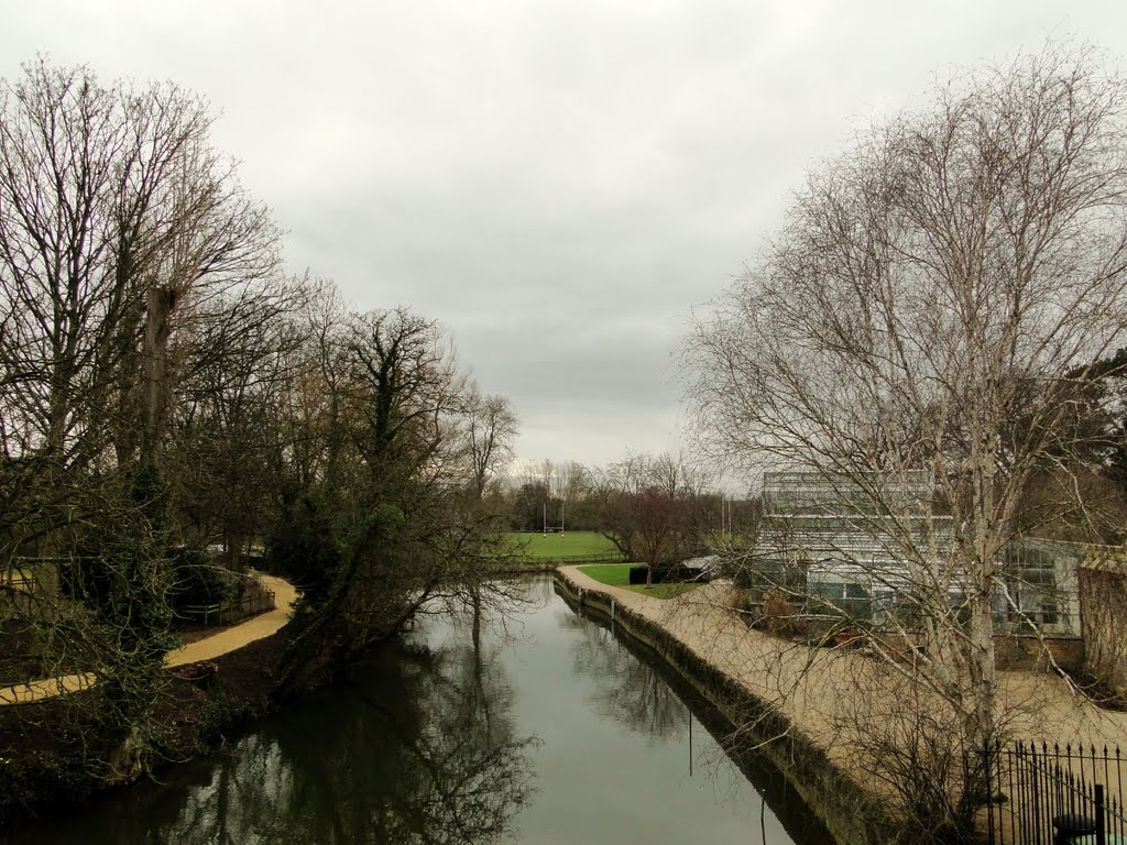 Rio Tâmisa, Oxford, Inglaterra / The Thames, Oxford, England by Caio Graco Machado