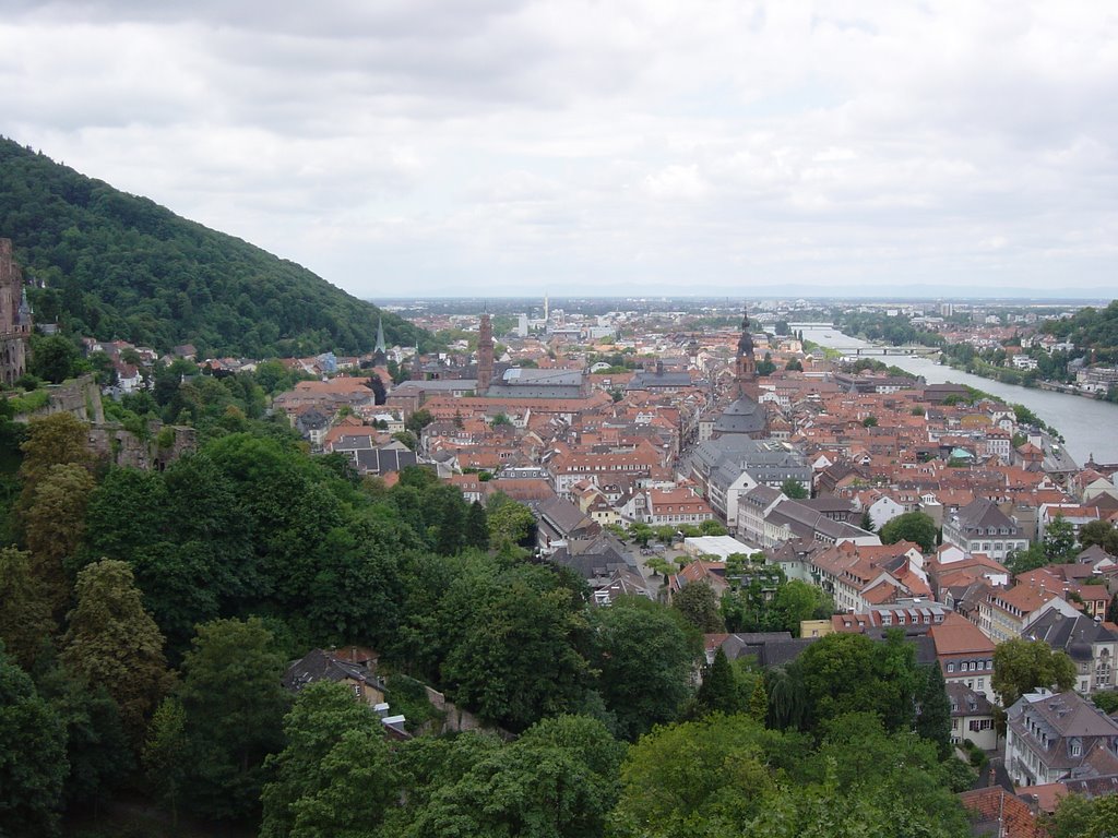 Heidelberg 3 by celik2