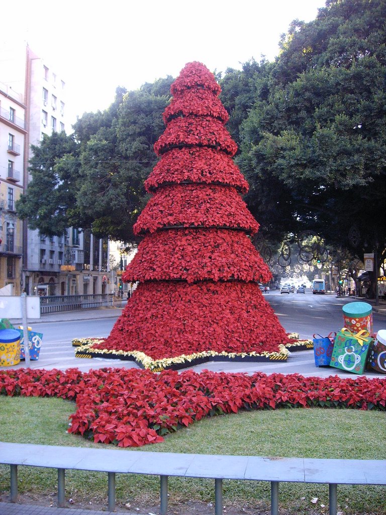 Flores de Pascua en Larios 2007 by jomejaen