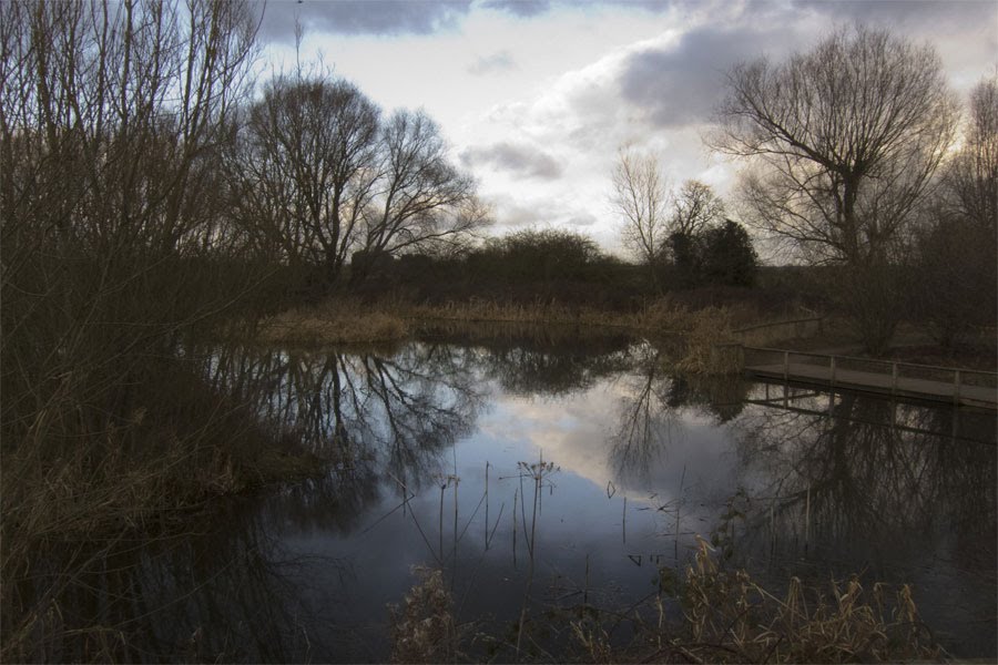 Rosliston Forestry Centre. Swadlincote. Derbyshire. DE12 8JX by Jeremy Trew