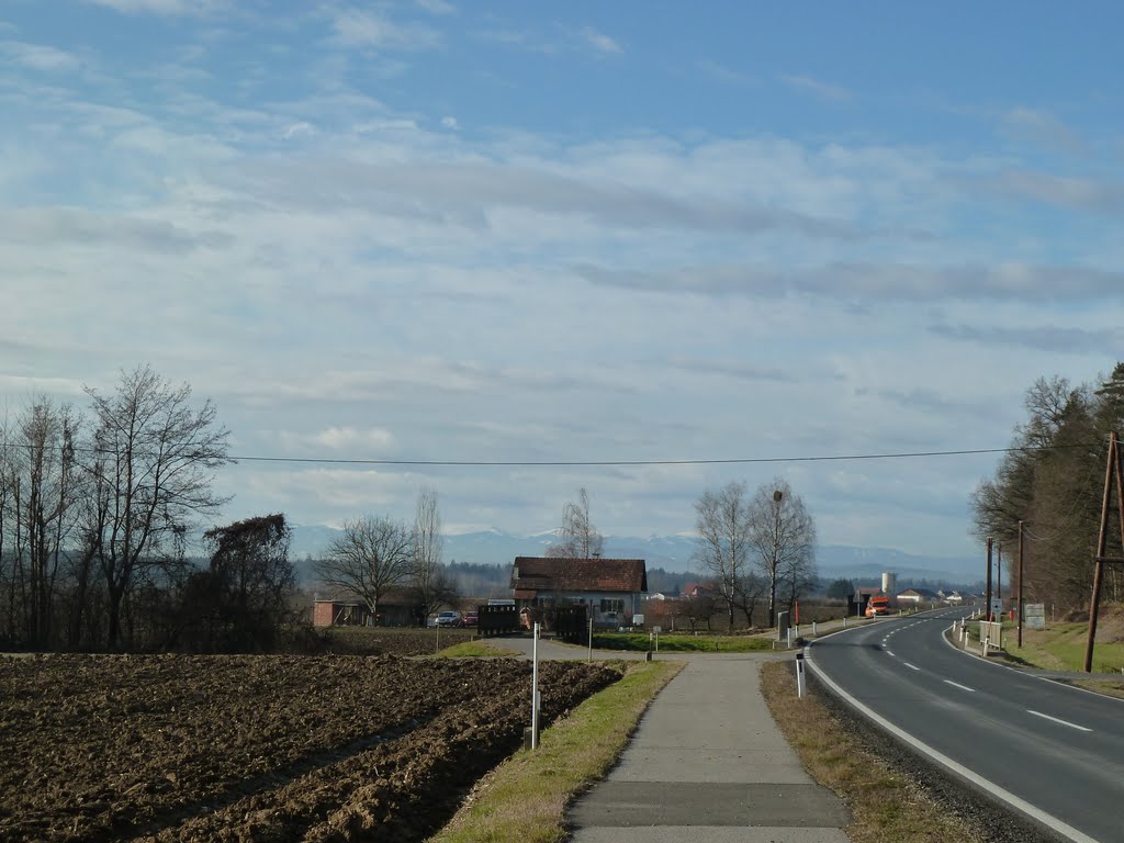 Blick Richtung Alpen by franzhorvath