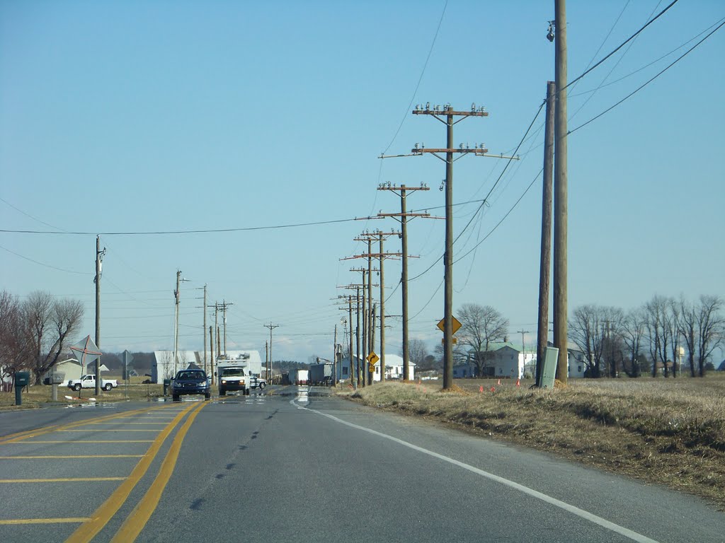 Hazletteville Road (County Road 203), KENT COUNTY by PowerPoleScaleModeler