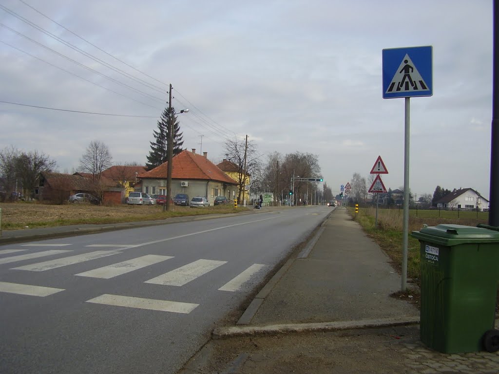 Brezovica, siječanj, 2012 by oweinacht