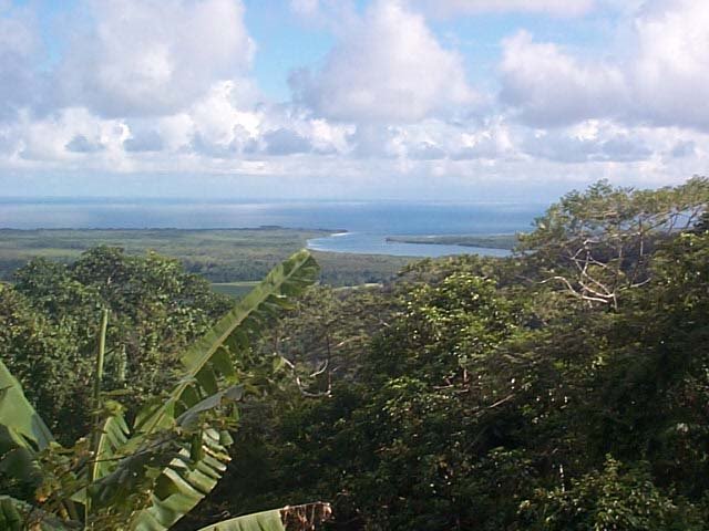 Daintree Estuary by David Holmes