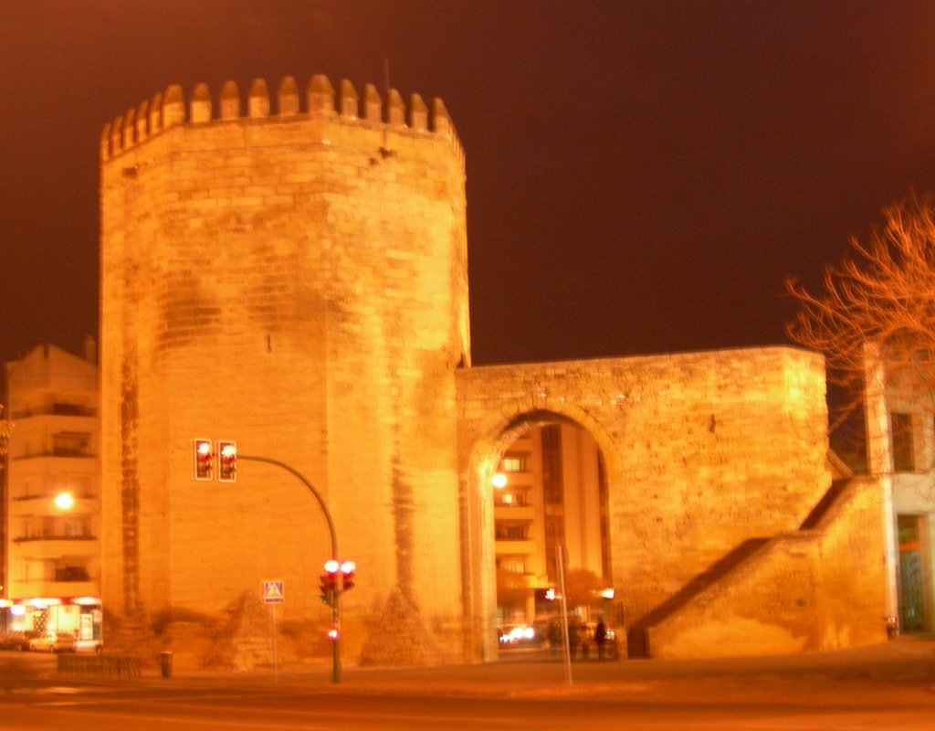 Torre de la Marmuerta vista de noche by José Mariscal