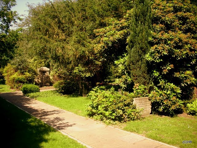 D- 27568 Bremerhaven, städtischer Friedhof Lehe III by Heinz.Bock