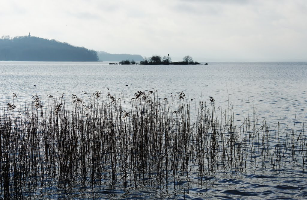 Tolensesee mit Insel Torpedoversuchsanstalt by Hartmut Scheuter