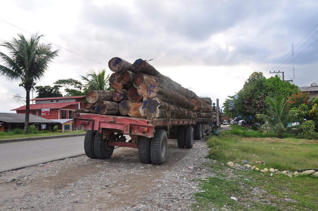 Trailer con troncos de madera del Chapare Villa Tunari 21/12/11 by marctibu