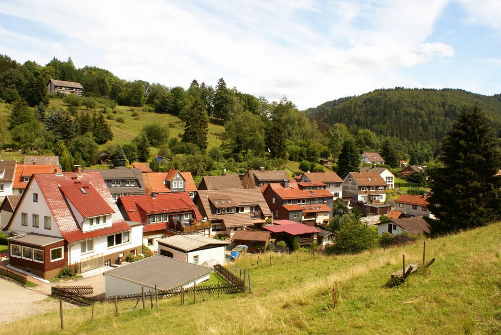 Blick auf Wieda (Harz) by Atheistin