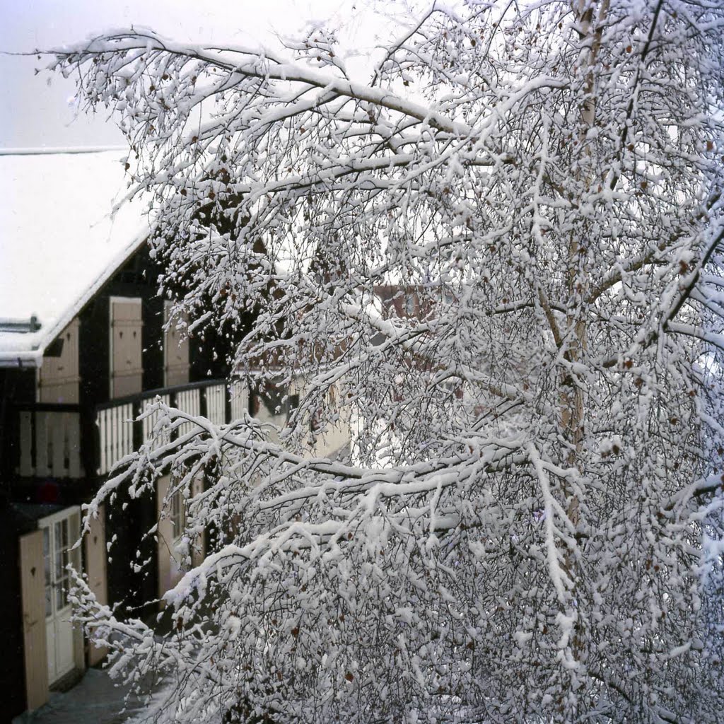 Snow and Ice in the Swiss Alps by eva lewitus