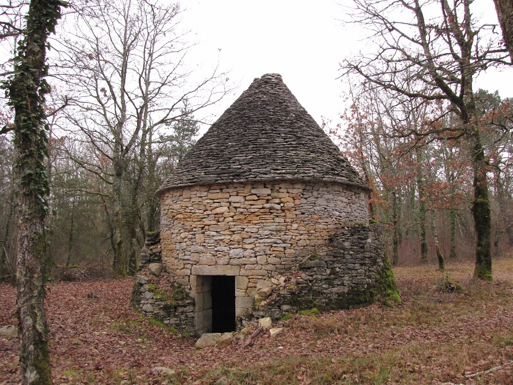 Cabane (remaniée) avec niches intérieures - Savignac-les-Eglises - Dordogne by Max Darrieutort