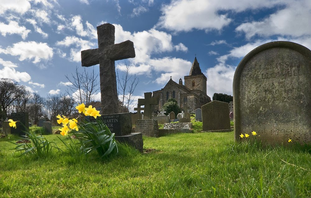 Springtime in the graveyard by Yorkshire Sam