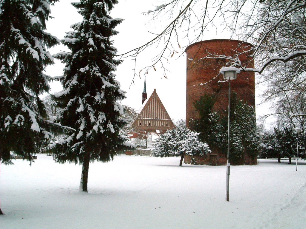 Burgarten im Winter by Ronald Steinig