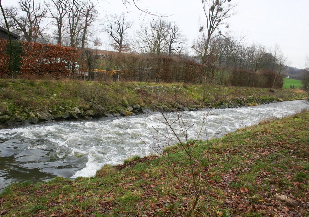 Die "Wurm" bei Burg Trips (Jan. 2012) by Heinz Gansweidt