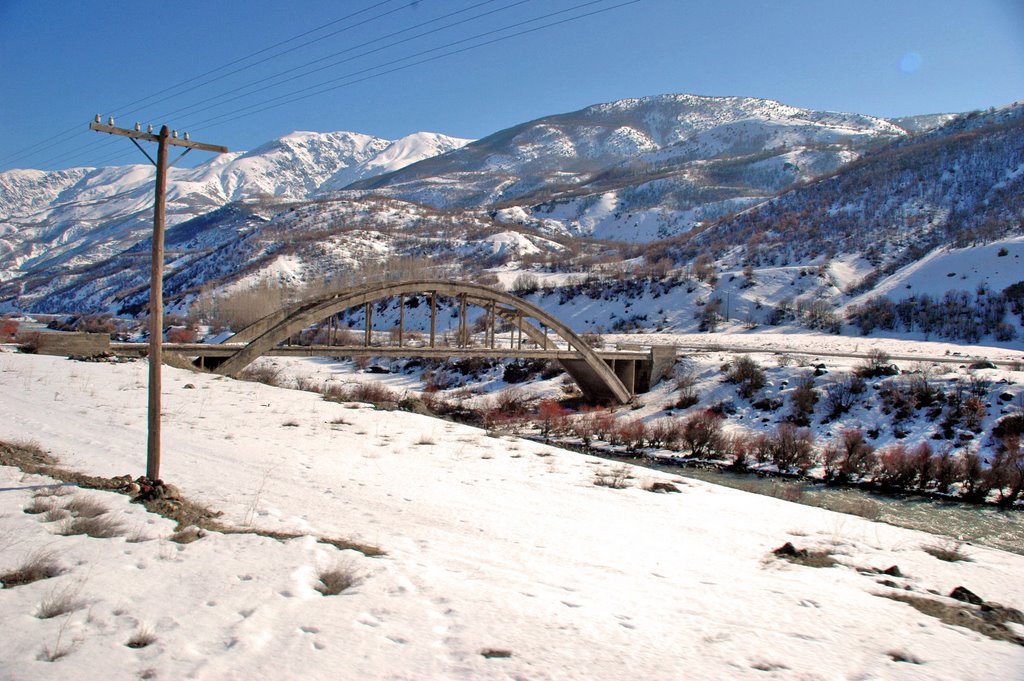 Mutu Bridge, Near Tanyeri, Erzincan by Seref Halicioglu