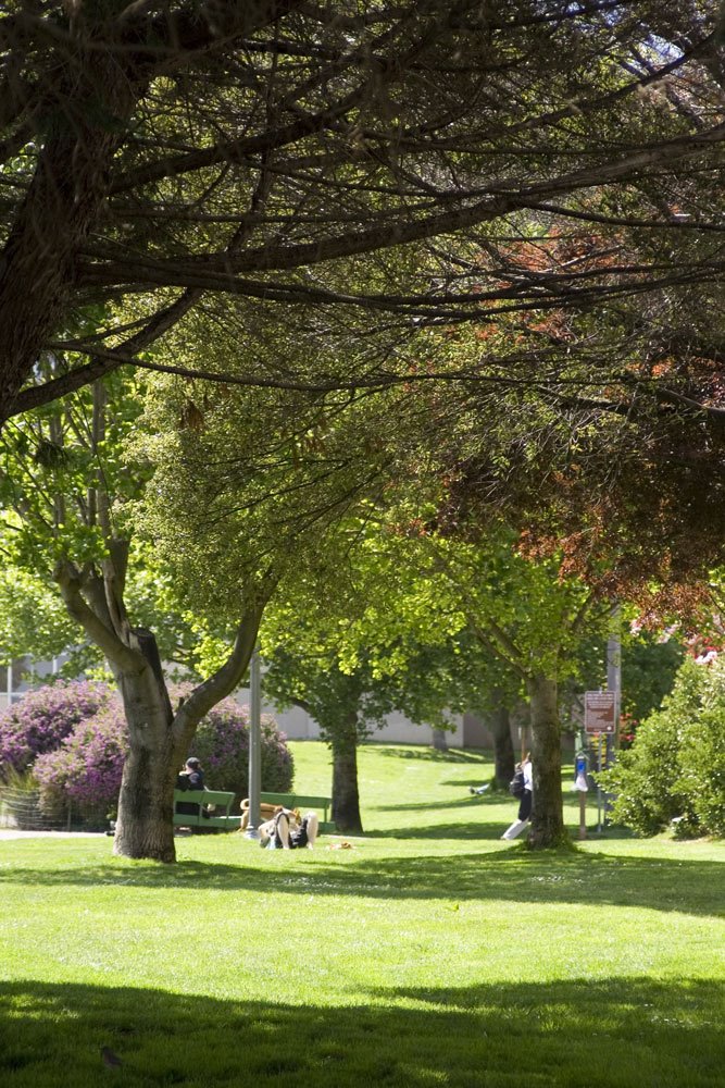 Duboce Park by Richard Cox