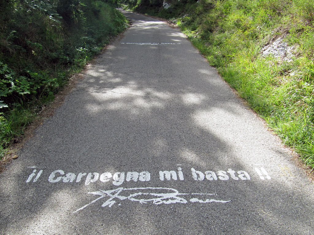 "Il carpegna mi basta!!" Marco Pantani by e_kappey