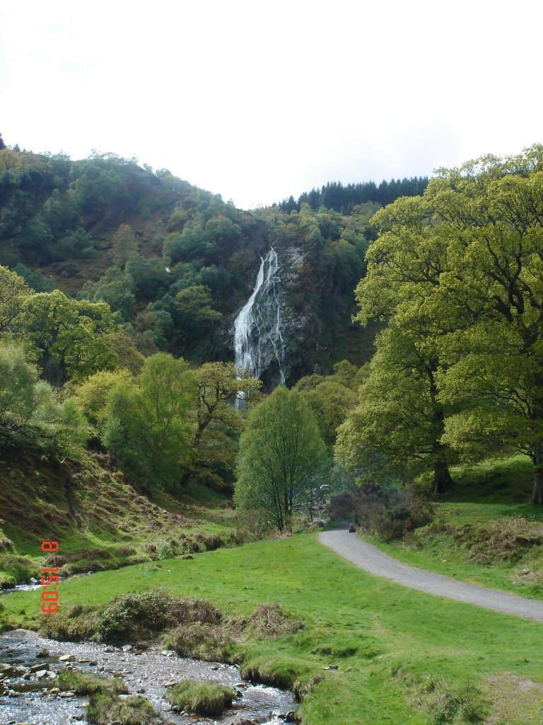 Powerscourt Waterfall by bartlomiej.adamski