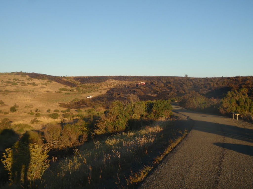 After a Hill fire near Lake Herman, Benicia Community Park by cacyz