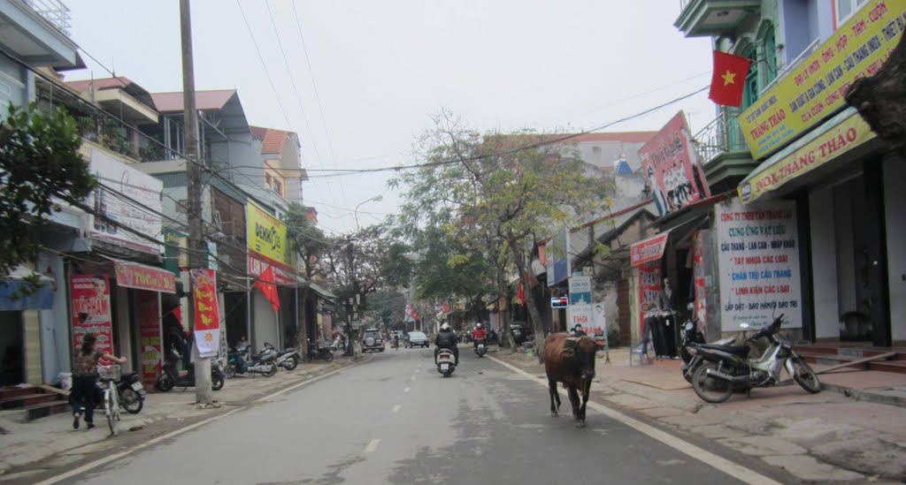 Phố Quang Trung by (^.^)