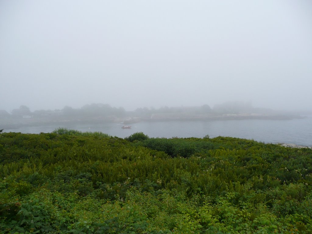 Bush residence in the fog by zachgreensite