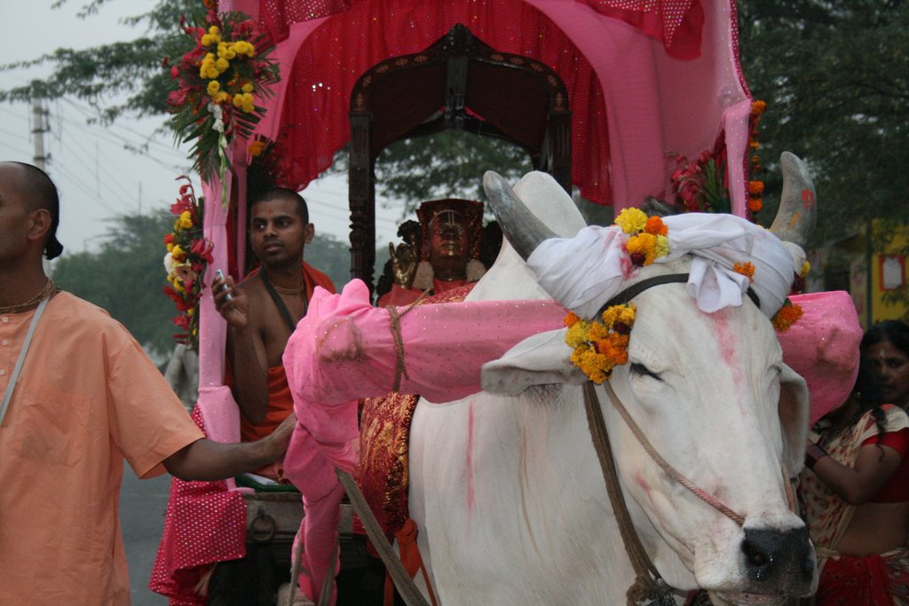 Prabhupa....Prabhupada Hari Bolo by Gopesh-Dasa