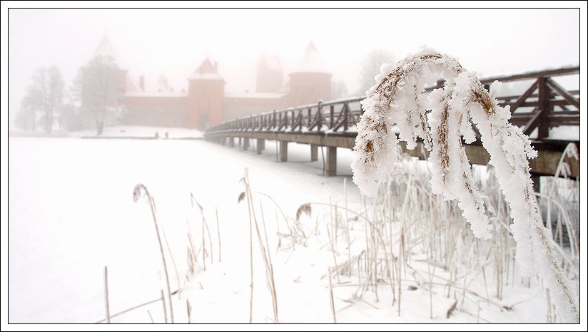 Trakai, Lithuania by Valdemar Doveiko