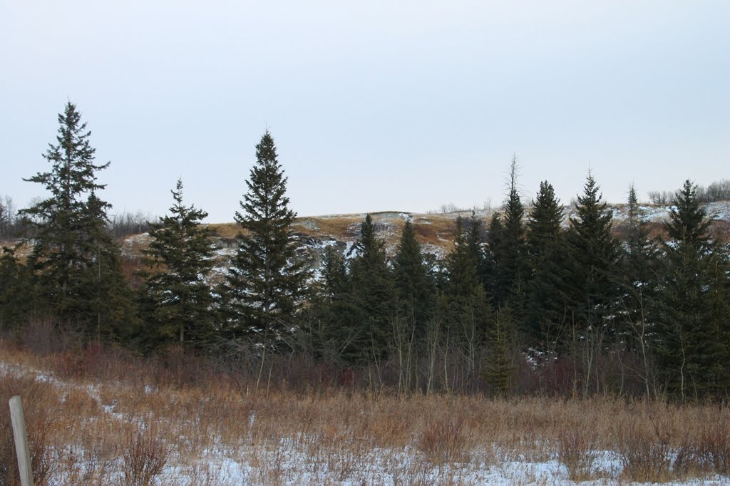 Red Deer River Valley by Amandyg