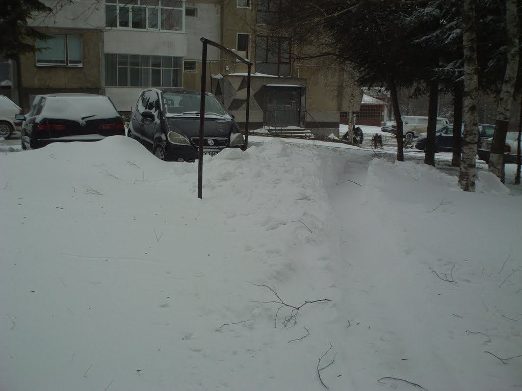 Heavy snow Dobrich 27.1.2012 by takethismoment