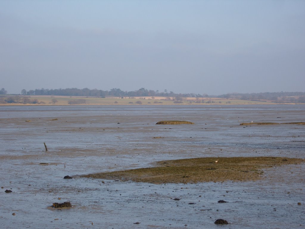 Manningtree Mudflats 2 by losonet