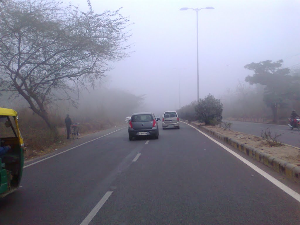 Fog at Central Ridge, New Delhi by suchitaxaxa