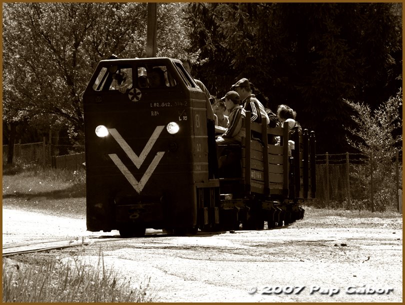 Museum railway in Kemence by Gábor Pap